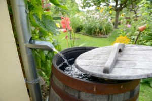 retencja wody w ogrodzie